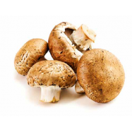 ПОРТАБЕЛЛО 15СМ КГ - Фото