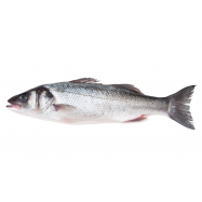 СІБАС 400-600 - Фото