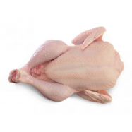 Тушка цыпленка-бройлера потрошёная охлажденная - Фото