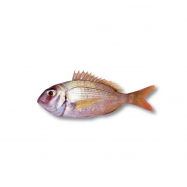 ЧЕРВОНИЙ ПАГР 400-600 Г - Фото