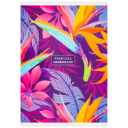 STUDENT ЗОШИТ СКОБА А5 80 АРК : КЛІТКА - Фото