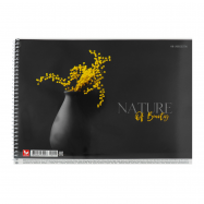 Альбом д/рисования Школярик №PB-SC-040-294 А4 40 листов 1шт - Фото