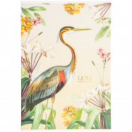 STUD. ЗОШИТ A4 80 АРК ЛІН. - Фото