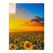 OPTIMA NAT ПАПКА А4 10 ФАЙЛ - Фото