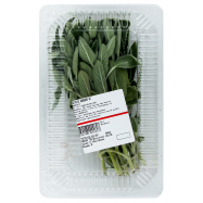 Шалфей кг - Фото