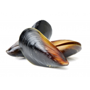 МІДІЇ ГІГАНТСЬКІ ЖИВІ - Фото