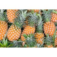 АНАНАС КАЛІБР 10 - Фото