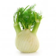 ФЕНХЕЛЬ КГ - Фото