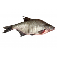 Лещ охлажденный размерный ряд от 1500г - Фото