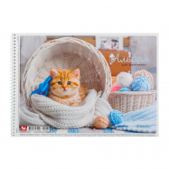 Альбом д/рисования Школярик №PB-SC-020-275 А4 20 листов 1шт - Фото