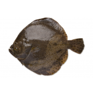 КАМБАЛА ТЮРБО 1000-1500 - Фото