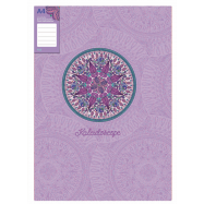 OPTIMA ШВИДКОЗШ. CLIP А КАЛЕЙД - Фото