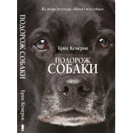 КСД КН  ПОДОРОЖ СОБАКИ - Фото