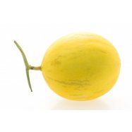 ДИНЯ КГ - Фото