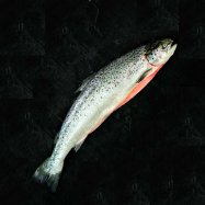 ЛОСОСЬ 7-8 : ЛОСОСЬ БАЛИК 2 - Фото