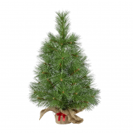 Сосна Tarrington House засніжена 60см - Фото