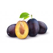 СЛИВА УКРАЇНА КГ - Фото