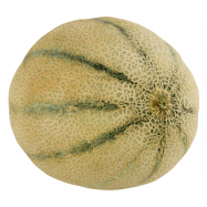 Дыня Brazil Melon Канталупа свежая кг - Фото