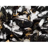 Мидии Seafood Line в ракушках вареные мороженые 1кг - Фото