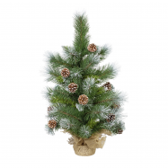 Сосна Tarrington House з шишками 60см - Фото