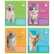 Тетрадь 18 листов линия R - Фото