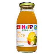 Сок HiPP мультифрукт 4-х мес 0,2л - Фото
