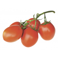 ТОМАТ СЛИВКА КГ - Фото