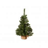 Ялина імперіал міні 60см - Фото