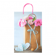 Пакет подарочный Sabona №7 1шт - Фото