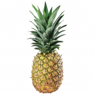 JOSIDOG ADULT SENSETIVE 900Г - Фото