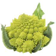КАПУСТА РОМАНЕСКО КГ - Фото
