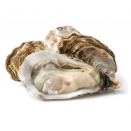 УСТРИЦІ ФІН ДЕ КЛЕР - Фото