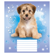 МРІЇ ЗБУВ ЗОШИТ 12 АРК : ЛІНІЯ - Фото