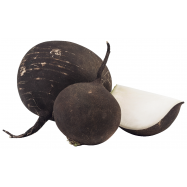 РЕДЬКА РОЖЕВА UA КГ - Фото