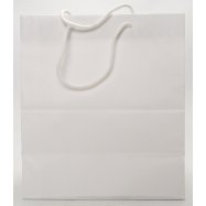 Пакет подарочный Fox Family Big bag KB д/поздравления 1шт Image - 2