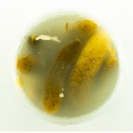 Огурцы Aro соленые 1000г Image - 3