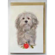 Открытка поздравительная КИНЗА FZ001 1шт Image - 1