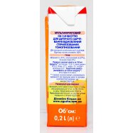 Сок Агуша мультифруктовий с м`якоттю с 6-ти месяцев 0,2л Image - 4