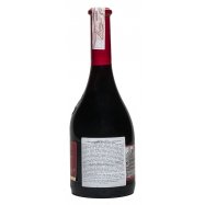 Вино J.P. Chenet Rouge Medium Sweet красное п/сл 12% 0,75л Image - 2