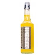 Сироп Rioba Bar Syrup со вкусом имбиря 0,7л Image - 3