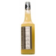 Сироп Rioba Bar Syrup со вкусом кокоса 0,7л Image - 3