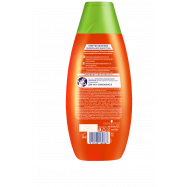 Шампунь Schauma Энергия Облепихи питательный 400мл Image - 2