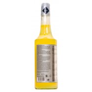 Сироп Rioba Bar Syrup со вкусом имбиря 0,7л Image - 2