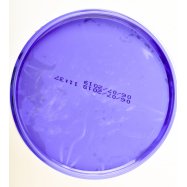 Чумак Томатная паста 25% с солью ведро 1000г Image - 2